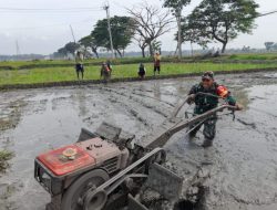 Percepat Masa Tanam, Babinsa Dampingi Petani Bajak Sawah