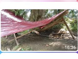 “Posko Masyarakat Kapas 1 Dirusak, Siapakah Dalang Dibalik Ini Semua ?!”