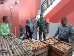 Antisipasi Lonjakan Harga Bahan Pokok, Babinsa Tipes Sidak Gudang Telur Ayam
