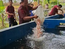 Tabur 1000 Benih Ikan Nila, Upaya Lapas Cilegon Dukung Program Ketahanan Pangan