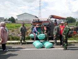 Sukseskan Ketahanan Pangan, Anggota Koramil 02/Banjarsari Bantu Petani Panen Padi