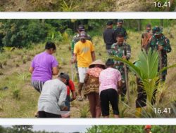 Satgas TMMD Tanam Jagung 2 Hektar