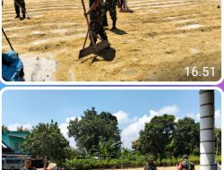 Menjaga Kualitas Hasil Panen, Babinsa Bantu Petani Jemur Padi