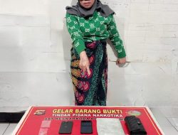 Ratu Narkoba Sekaligus Bandar Besar dan Kaki Tangannya, Di Libas Timsus Polres Dompu.