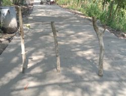 Betonisasi Jalan Hampir 100%