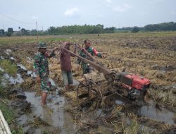 Babinsa Bantu Penyiapan Lahan Untuk Tanam Padi