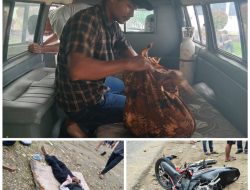 LAKALANTAS DI JALINSUM DEPAN BTN KOTA MANDIRI DESA SUNGAI ULAK MERENGUT NYAWA PENGENDARA SEPEDA MOTOR .