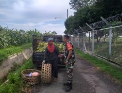 Babinsa Kemusu Beri Dorongan Motivasi Bagi Petani Watugede
