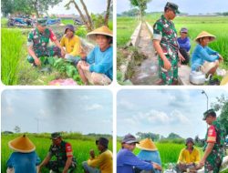 Kedekatan Babinsa Teras Dengan Petani Desa Kopen