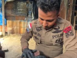 Peduli Kesehatan, Personel Ops. Damai Cartenz 2025 Beri Pengobatan kepada Anak yang Terluka di Intan Jaya