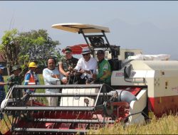 Ikuti Panen Raya Padi Serentak Bersama Presiden, Ini 3 Kebijakan Bupati Bandung yang Pro Petani