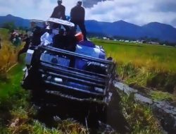 Harga Gabah Kering Panen Turun, Bupati Dompu Buru-Buru Gelar Panen Raya?