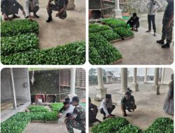 Babinsa Selo Semangati Petani Sayur Wonodoyo