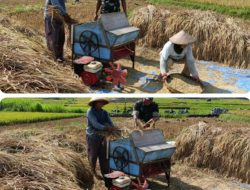 Peran Aktif Babinsa Wonosegoro Dampingi Petani