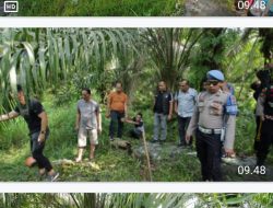 Kasat Narkoba Polres Sergai AKP Iwan Hermawan, SH Melaksanakan Kegiatan Gerebek Sarang Narkoba