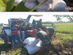 Kodim Boyolali Dukung Program Bulog Melalui Serapan Gabah Petani