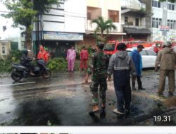 Babinsa Gerak Cepat, Bantu Evakuasi Pohon Tumbang