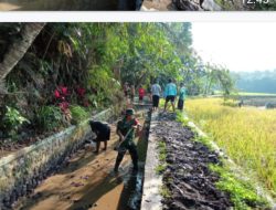 Saluran Irigasi Lancar Panen Petani Jadi Maksimal
