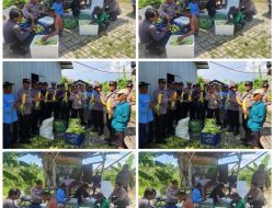 Dukung Ketahanan Pangan Nasional Polres Pelabuhan Tanjung Perak Gelar Panen Raya Jagung Manis ke-8