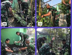 Dukung Swasembada Pangan, Danramil 04/Jebres Bersama Anggotanya Tanam Bibit Buah Dan Tanaman Herbal