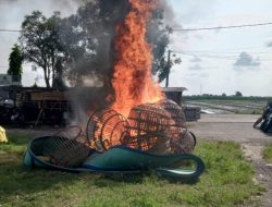 Polisi Bongkar Arena Judi Sabung Ayam di TPS Ngaglik Sidoarjo