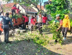 Cegah Terjadinya Musibah, Babinsa Purwosari Bersama Tim Saberling Laksanakan Pemangkasan Cabang Pohon.