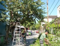 Babinsa Banyuanyar Bersama Linmas Laksanakan Kerja Bakti Perempelan Dahan Dan Ranting Pohon