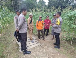 Kapolres Gunung Mas Melalui Kapolsek Kahut Ipda Muklisin, SH Dukung Program Ketahanan Pangan