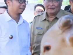 JELANG IDUL ADHA 1446/2025 DKP3 LAKUKAN PEMERIKSAAN HEWAN KURBAN.