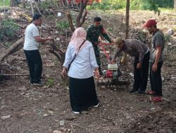 Dari Lahan Kosong Bantaran Sungai Makam Bergolo Serengan, Serda Ichsan Pelopori Barisan Ketahanan Pangan Untuk Negeri