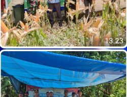 Kapolsek Tanete Riaja Melaksanakan Panen Raya Jagung Serentak Di Dusun Jalanru