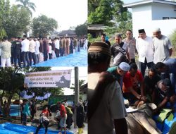 Idul Adha 1446 H, Polres Way Kanan Gelar Shalat Bersama dan Penyembelihan Hewan Kurban