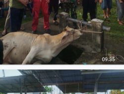 Bhabinkamtibmas Bersama Babinsa Monitoring Di 5 Titik Pemotongan Hewan Qurban Di Desa Kace Timur.