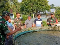 Babinsa Berbagi Ilmu dan Semangat, Kunjungi Peternak Lele