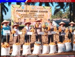 Kapolres Bangka Tengah Hadiri Panen Raya Jagung Serentak, Dukung Ketahanan Pangan Daerah