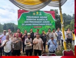 Polres Bangka Tengah Dukung Ketahanan Pangan Lewat Penanaman Jagung Serentak Kuartal III.