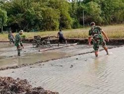 Babinsa Siap Hadapi Masa Tanam III, Pengolahan Lahan Bersama Petani