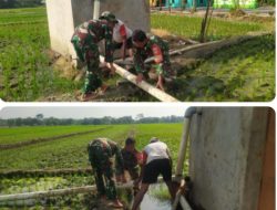 Babinsa Bantu Petani Pasang Pipa, Sistem Pengairan Sawah Makin Lancar