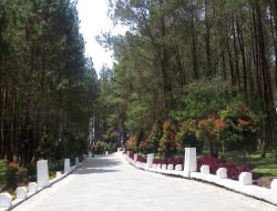 Peraturan Bupati Humbahas, Tiket Masuk Wisata Sipinsur Rp. 5.000 dan Rp. 2.000