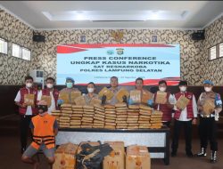 90 Ribu Jiwa Terselamatkan, Polisi Bongkar Penyelundupan Ganja di Bakauheni