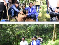 MEMPERINGATI HARI LAHIR KEJAKSAAN KE-80 KAJATI JABAR MELAKUKAN PENANAMAN POHON DI JAYAGIRI – CIKOLE
