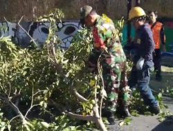 Ciptakan Lingkungan Yang Bersih Dan Nyaman, Babinsa Manahan Bersama DLH Laksanakan Pemangkasan Pohon