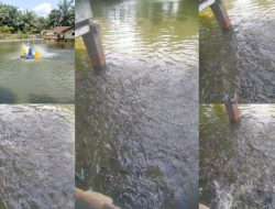 Kampung Rantau Temiang Luncurkan Program Ketahanan Pangan Melalui Budidaya Ikan Nila