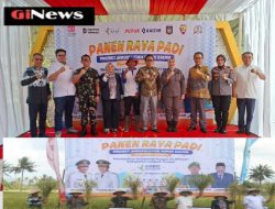 Kodim 1620/Loteng Bersama Pemda Loteng Sinergi Gelar Panen Raya Padi di Gerunung