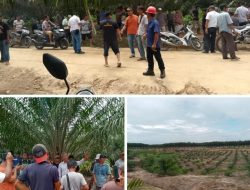 “HGU PT. SOCFINDO Proses Pembaharuan Izin, Beberapa Warga Di Simpangkanan Pasang Patok Kayu?!”