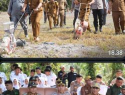 Wakil Bupati HA. Kafid Muin Bersama Unsur Forkopimda Kabupaten Merangin Melakukan Penanaman Jagung di Desa Mentawak Kecamatan Nalo Tantan