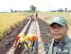 Petani Apreasiasi Langkah Konkret Pemerintah Dalam Program P3-TGAI: Dukung Ketahanan Pangan