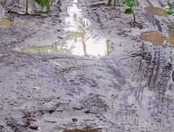 Warga Keluhkan Jalan Desa Penggalangan Kabupaten Sergai.