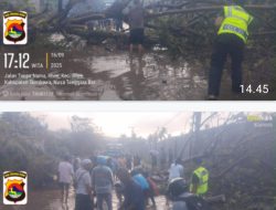 Sigap di Tengah Hujan Lebat, Personel Polsek Rhee Bantu Warga Atasi Banjir dan Pohon Tumbang