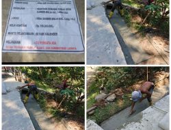 PEKERJAAN PEMBANGUNAN SIRING DI RT 2 DUSUN I DESA SUMBER MULYA KECAMATAN LUBAI ULU KABUPATEN MUARA ENIM.